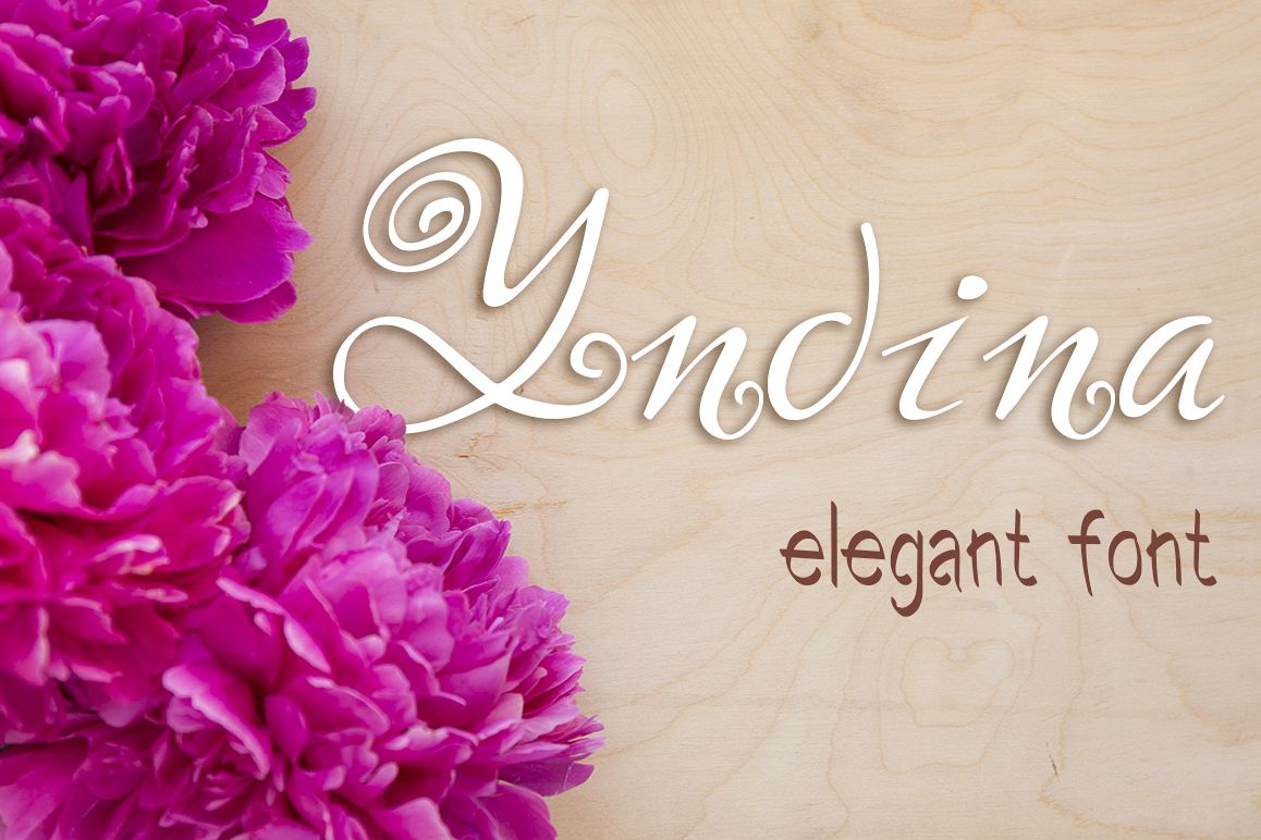 Yndina elegant font example image 1