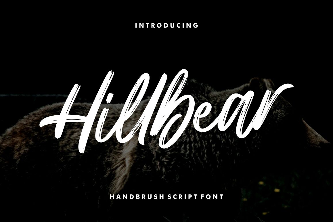 Hillbear - Handbrush Script Font example image 1