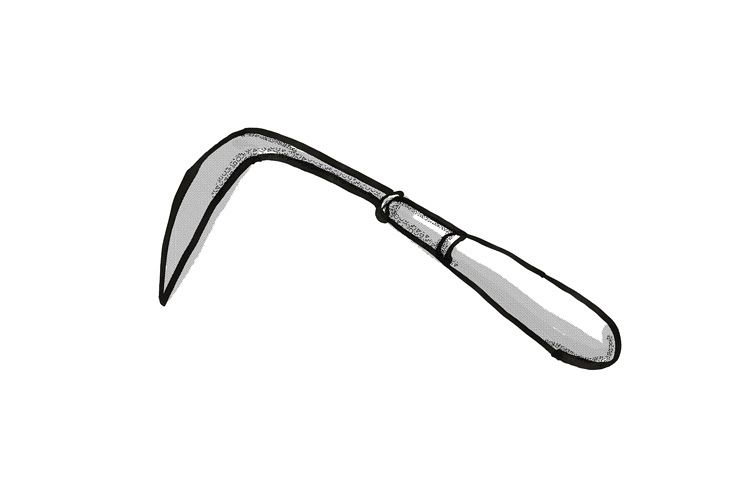 crevice weeder Cartoon Retro Drawing example image 1