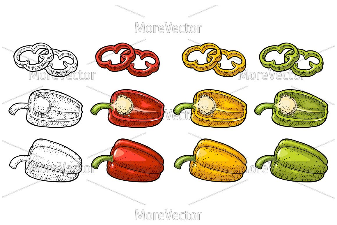 Sweet bell red, green, yellow pepper. Vector vintage color and black engraving example image 1