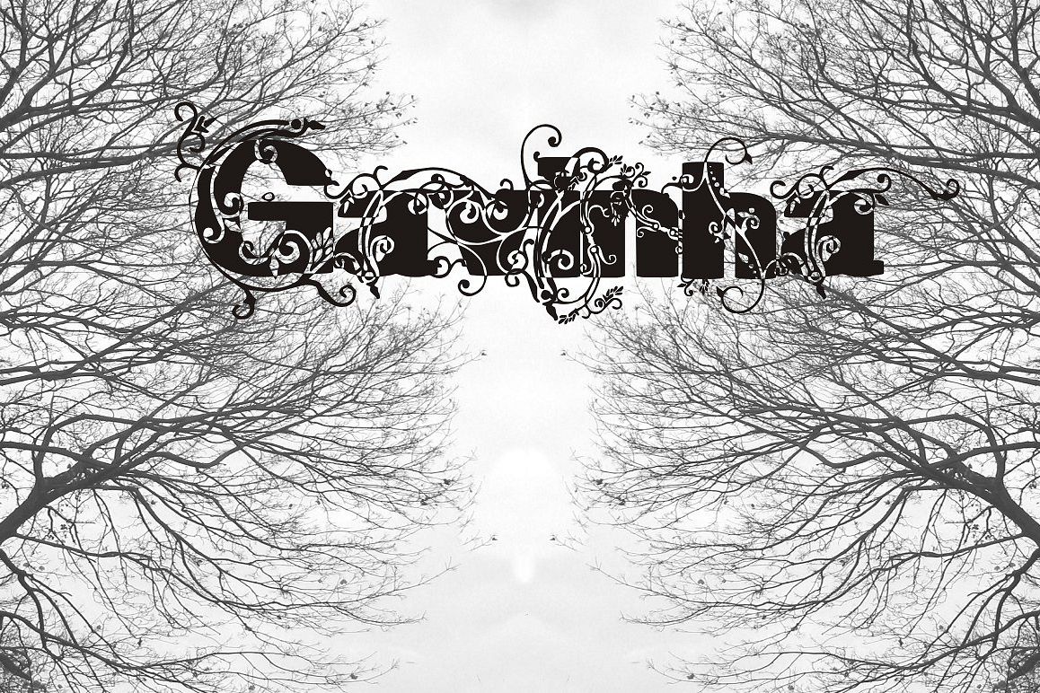 Gavinha example image 1