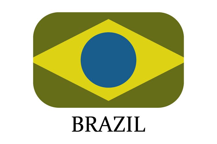 Brazil flag example image 1
