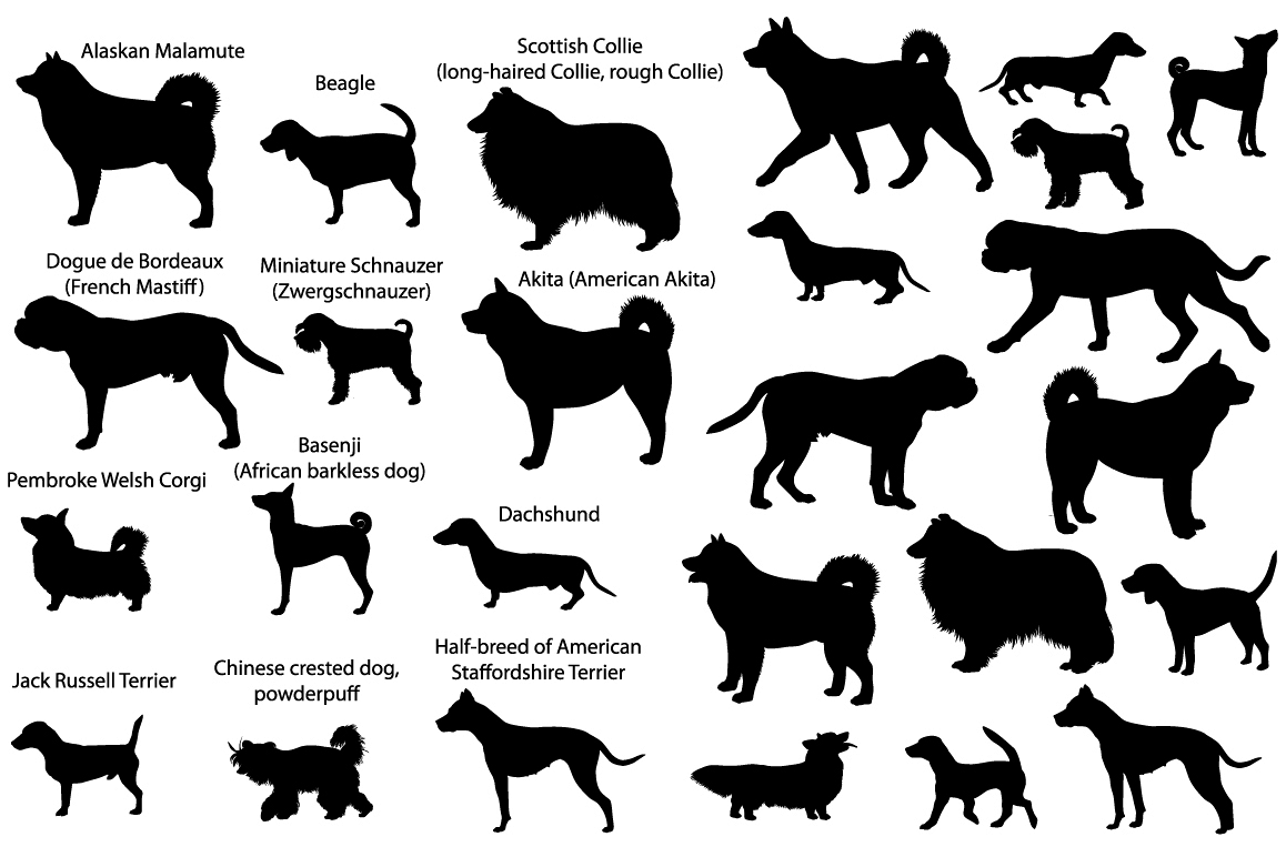 Dog show silhouettes example image 1