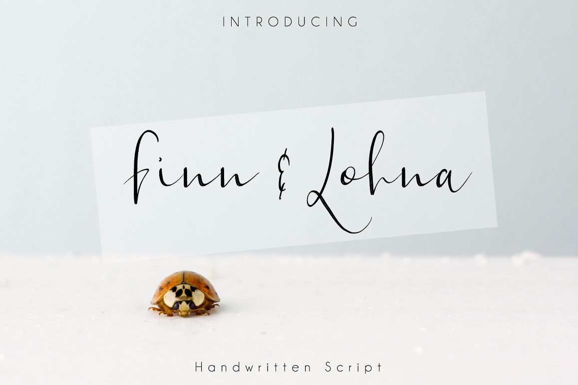 Finn & Lohna example image 1