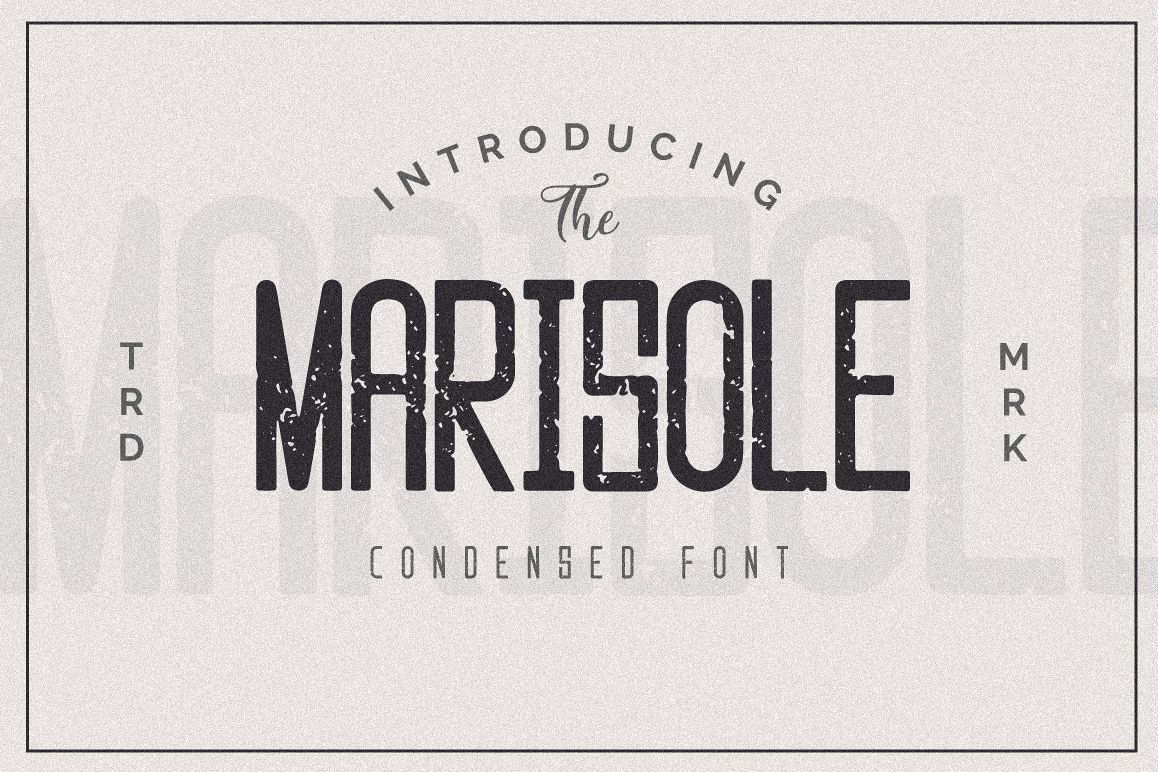 Marisole Condensed Font example image 1