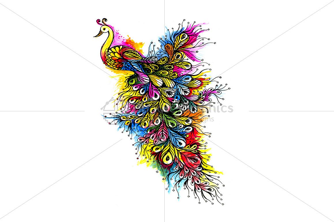 Peacock - Handmade Ink Graphics example image 1