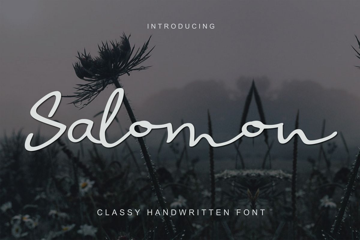 Salomon Sign example image 1