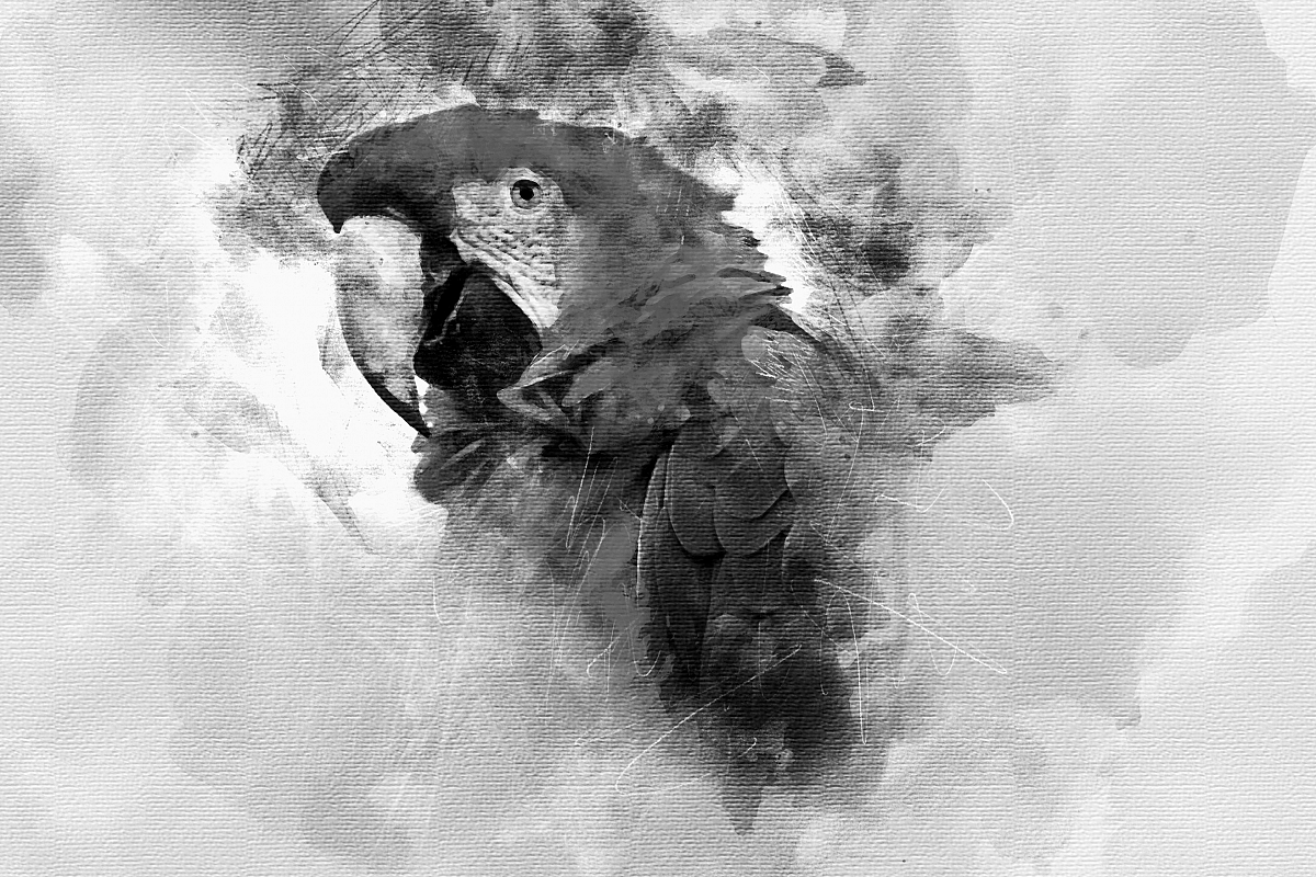 Watercolor Black and White example image 1