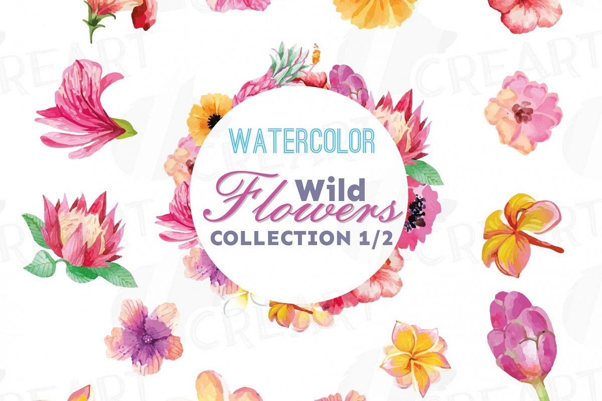 Download Watercolor wild flowers clip art pack, exotic watercolor flowers valentine clip art. Eps, png ...
