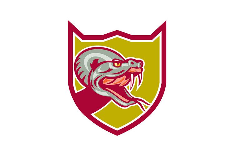 Rattle Snake Head Shield Retro example image 1