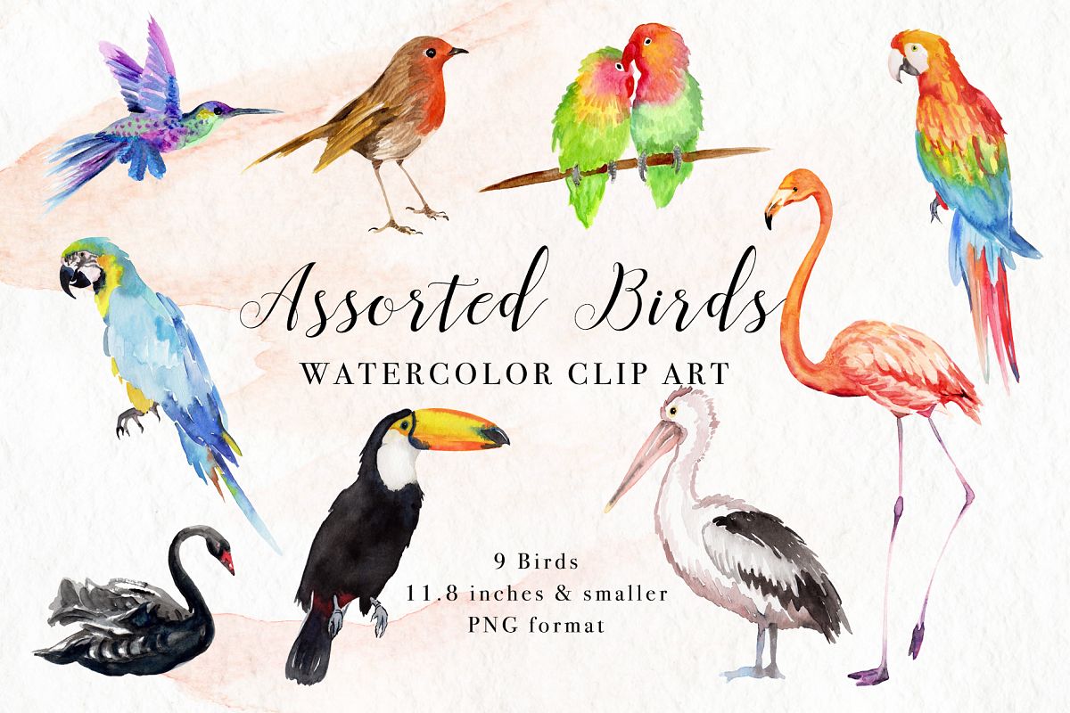 Assorted Birds Watercolor Clip Art example image 1