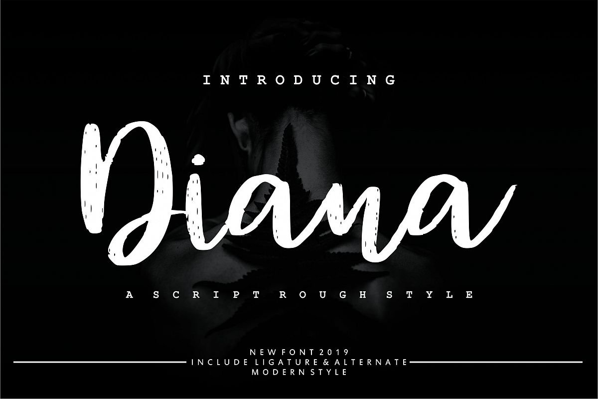 Diana Rough | Script Rough Style example image 1