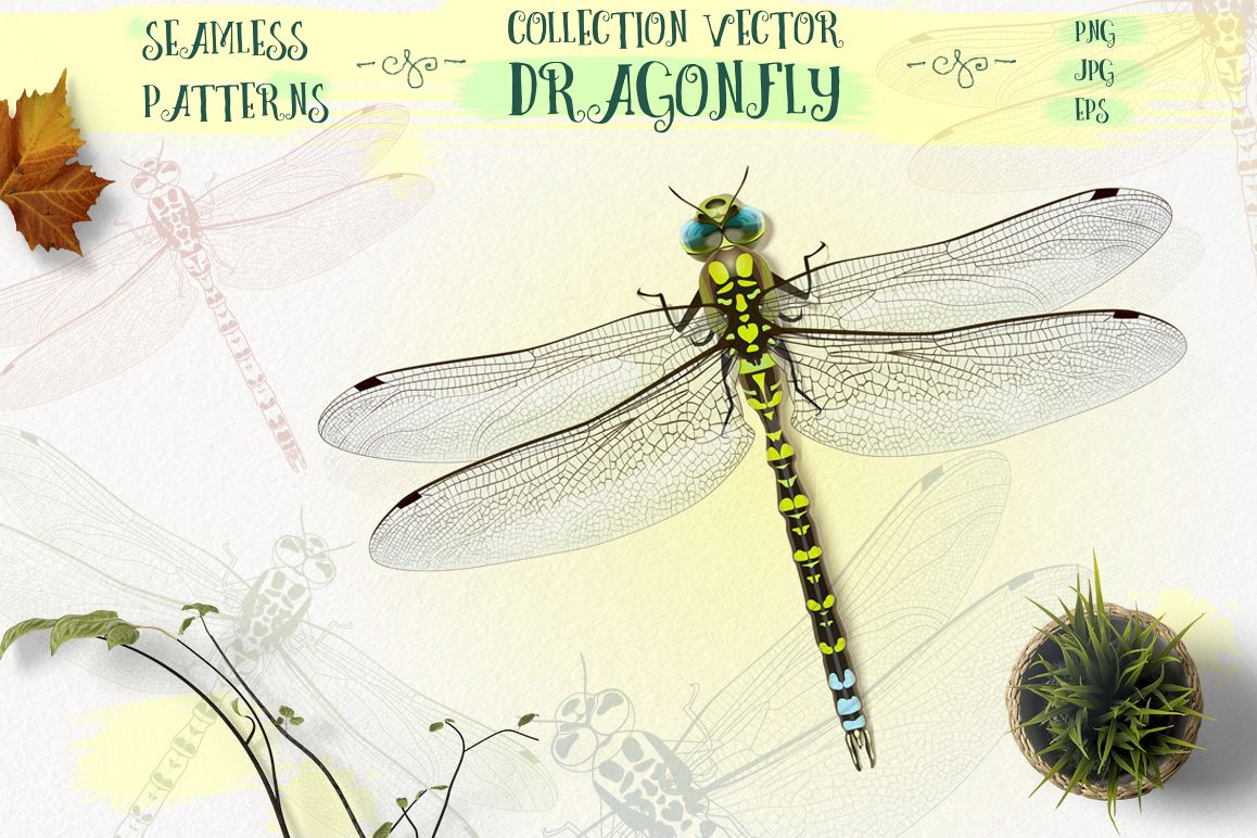 Dragonfly inspiration example image 1