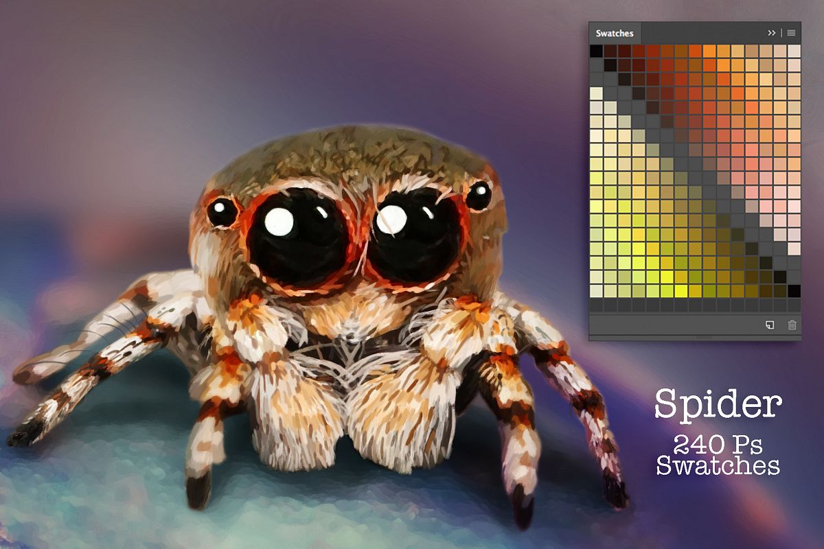 Spider Swatches example image 1