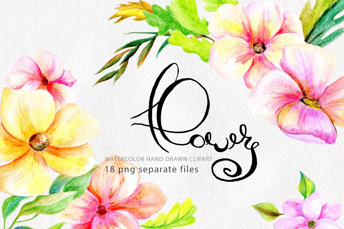 Pencil & watercolor florals example image 1