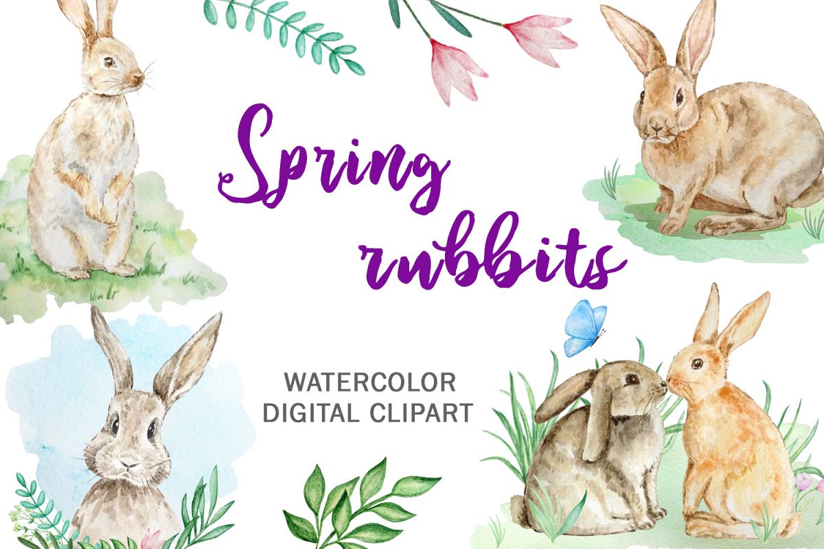 Watercolor Spring Rabbit Clipart Set example image 1