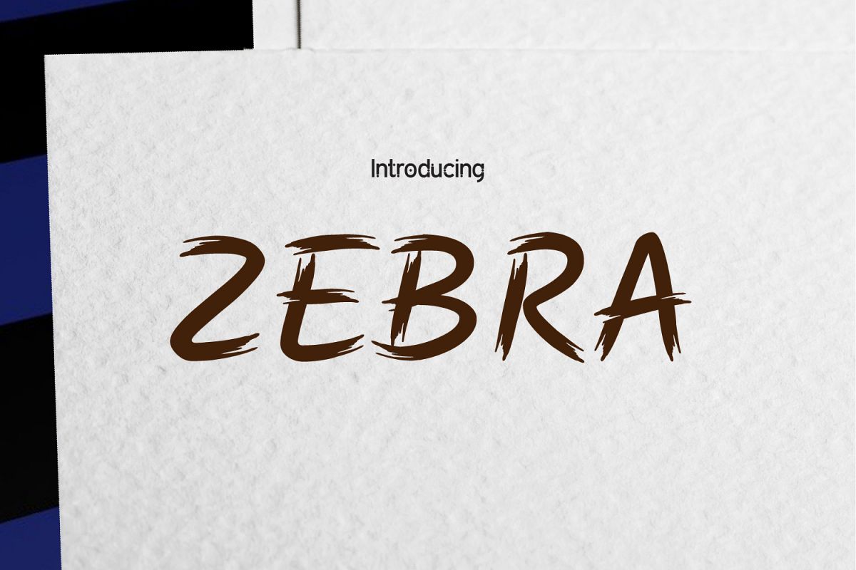 ZEBRA Clean Brush example image 1