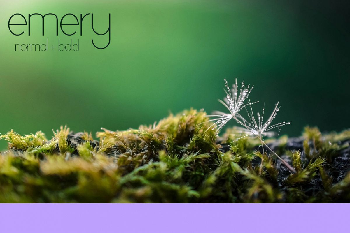 Emery sans serif typeface example image 1