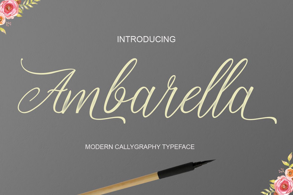 Ambarella example image 1