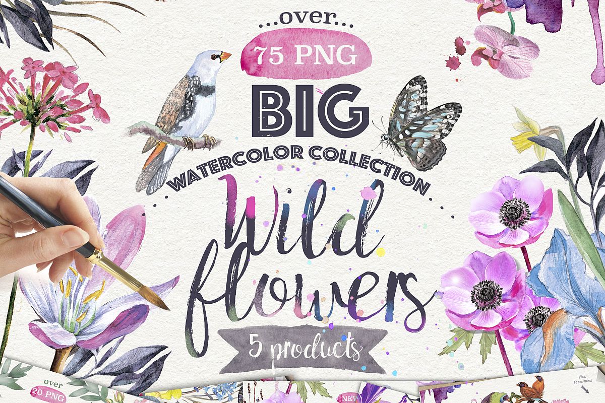 WILD FLOWERS 75 PNG