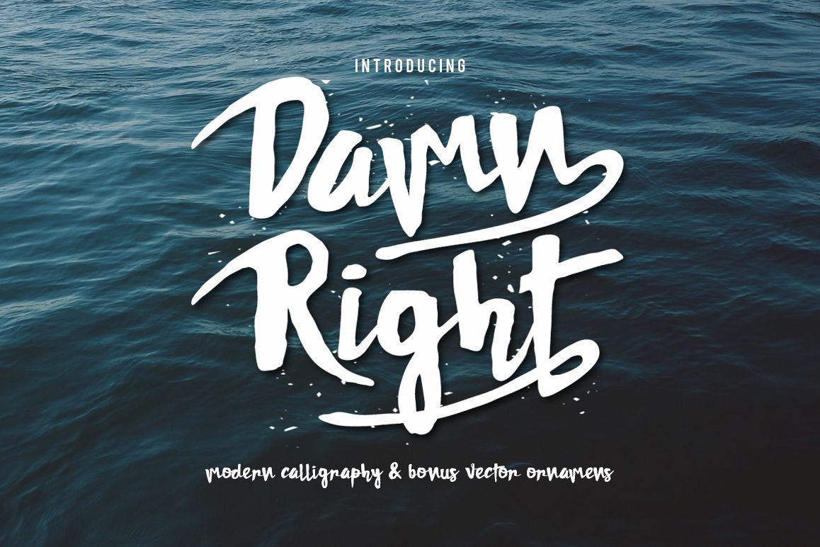 DAMNRIGHT Typeface example image 1