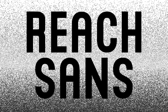 Reach Sans example image 1