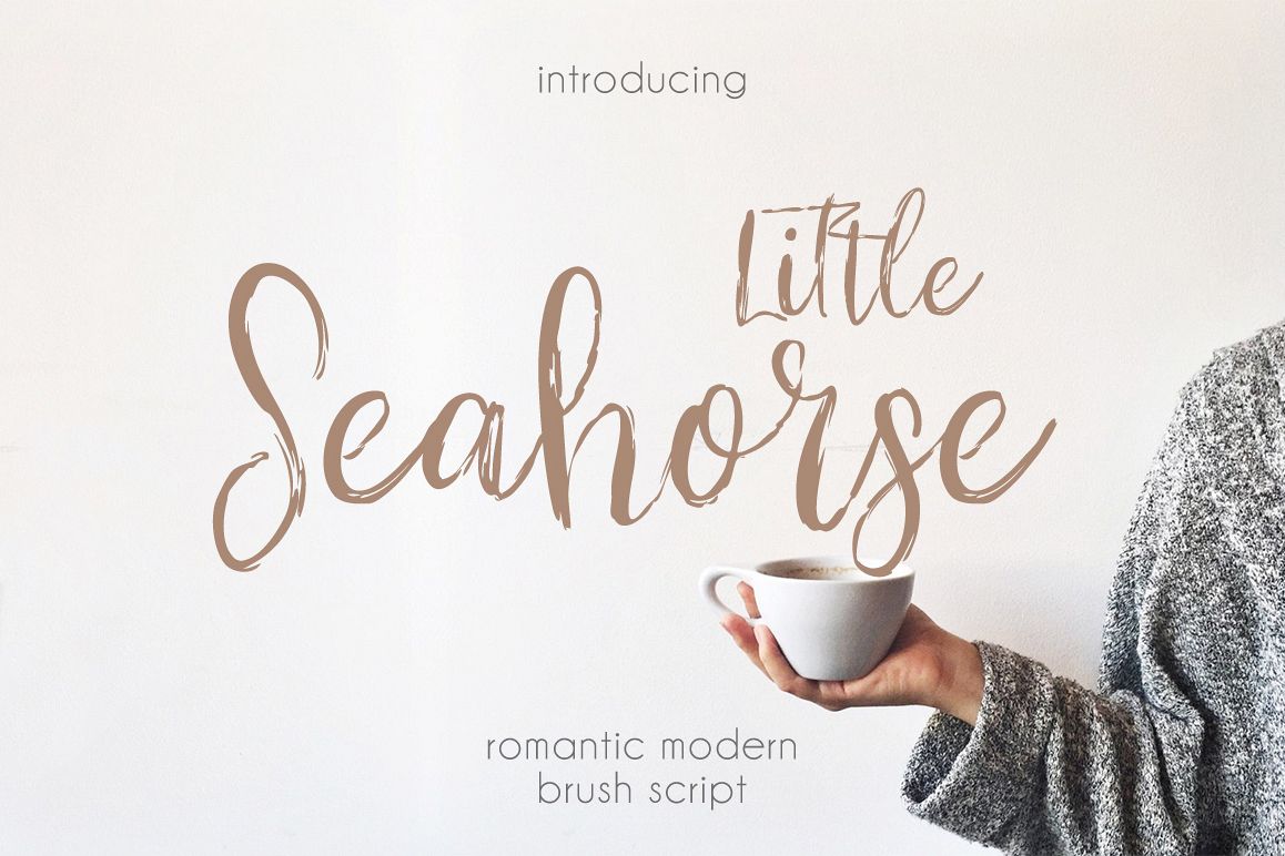 Little Seahorse example image 1