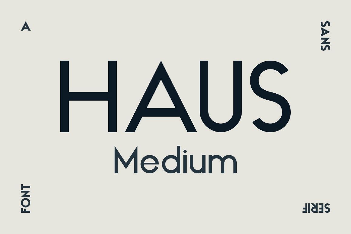 HAUS Sans Medium example image 1