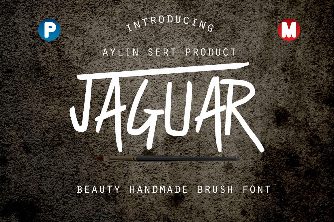Jaguar example image 1