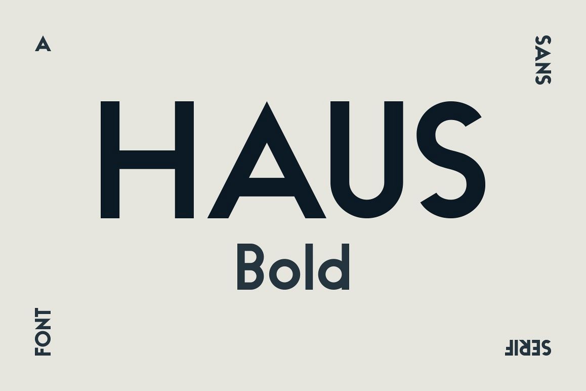 HAUS Sans Bold example image 1