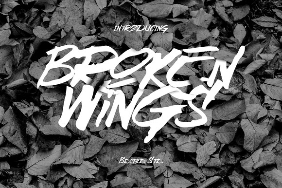 Broken Wings Typeface example image 1