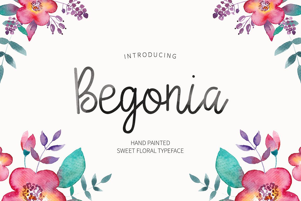Begonia example image 1