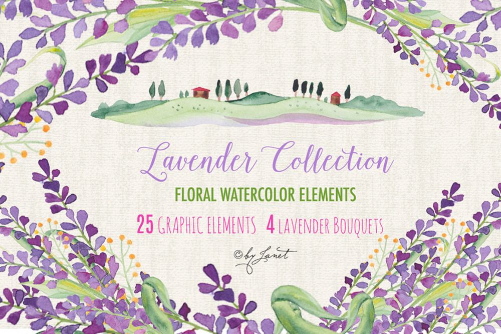 Lavender Collection example image 1