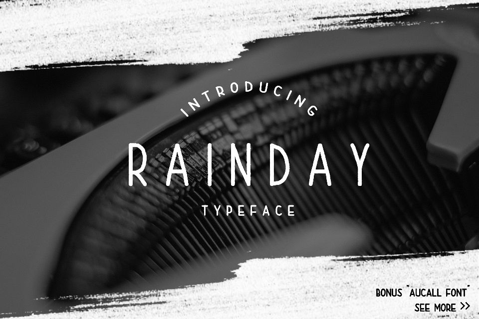 Rainday Typeface Font example image 1