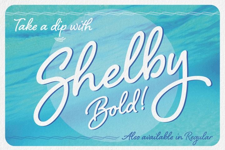 Shelby Bold example image 1