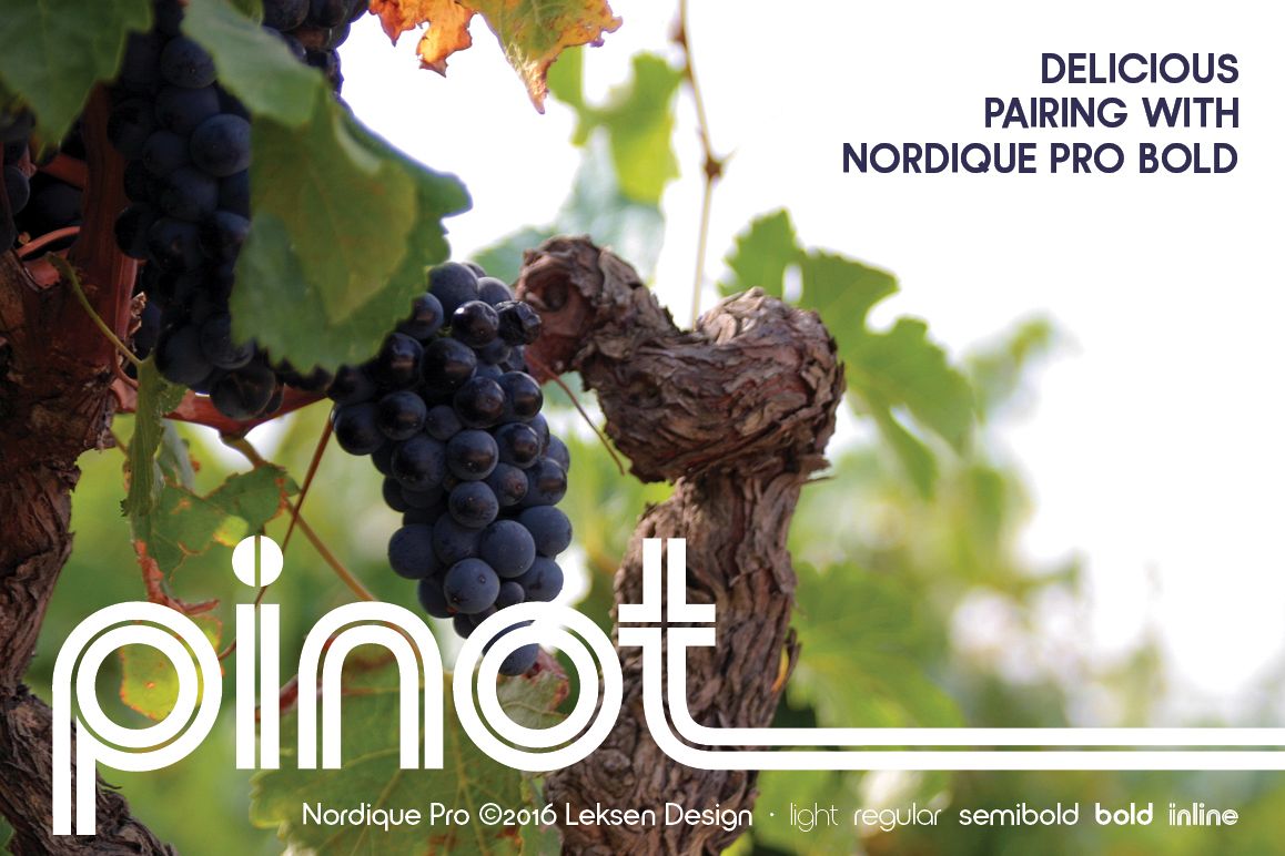 Nordique Pro Inline example image 1