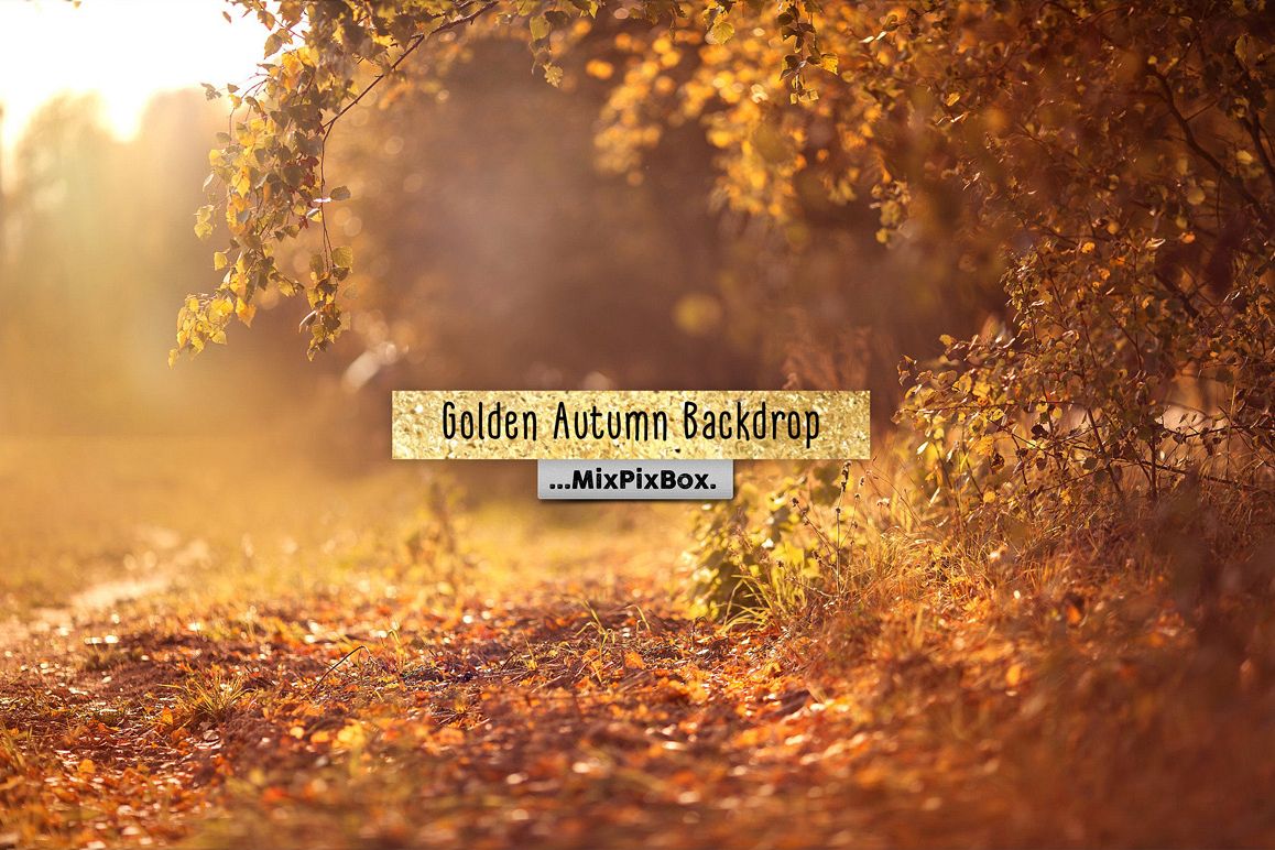 Golden Autumn Backdrop example image 1
