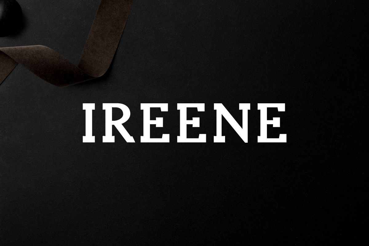 Ireene Serif 3 Font Family Pack example image 1