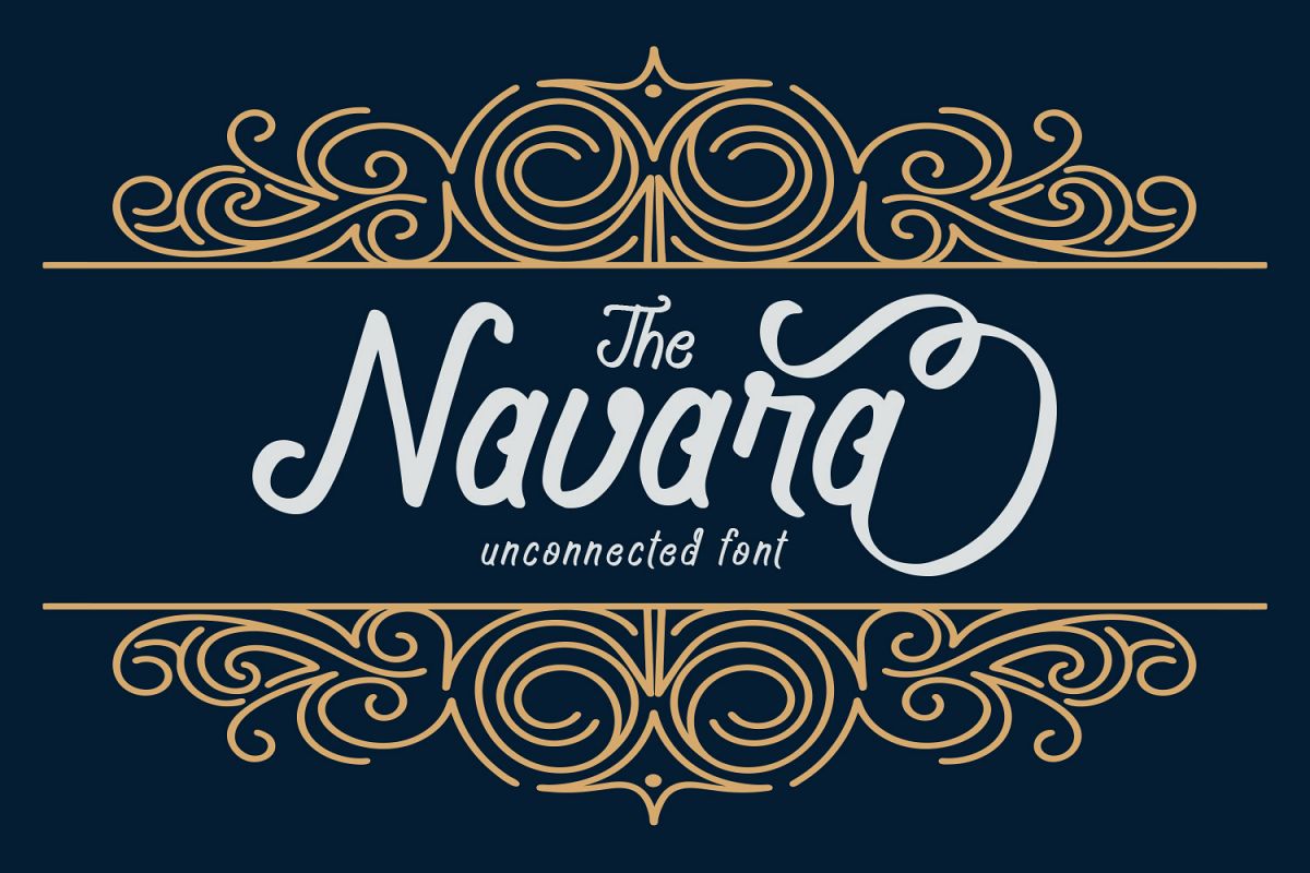 Navara + Bonus Vector example image 1