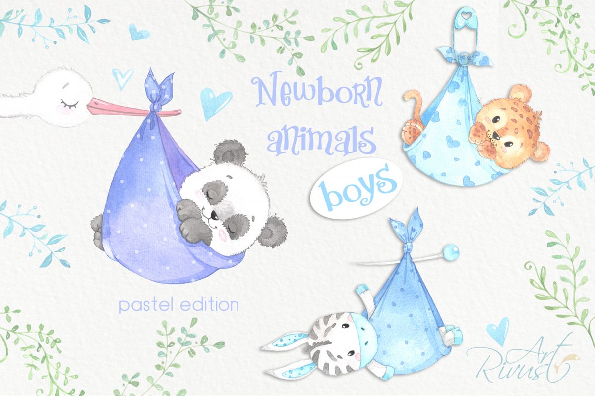 It's a boy Newborn animals clipart PNG download. African Saf example image 1