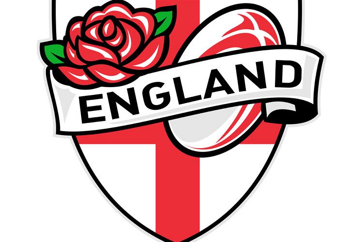 Rugby England English Rose Ball Shield example image 1