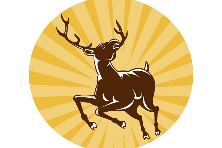 stag deer jumping example image 1