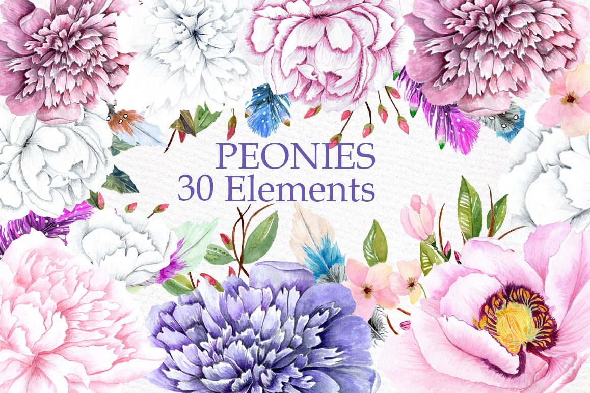 Watercolor peonies clipart example image 1