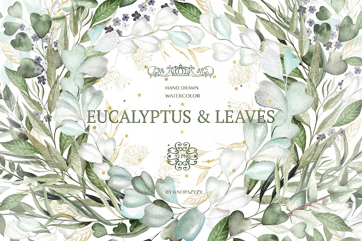 Eucalyptus & LEAVES watercolor example image 1