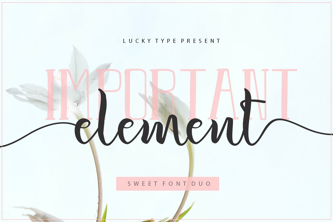 Important Element Font Duo example image 1