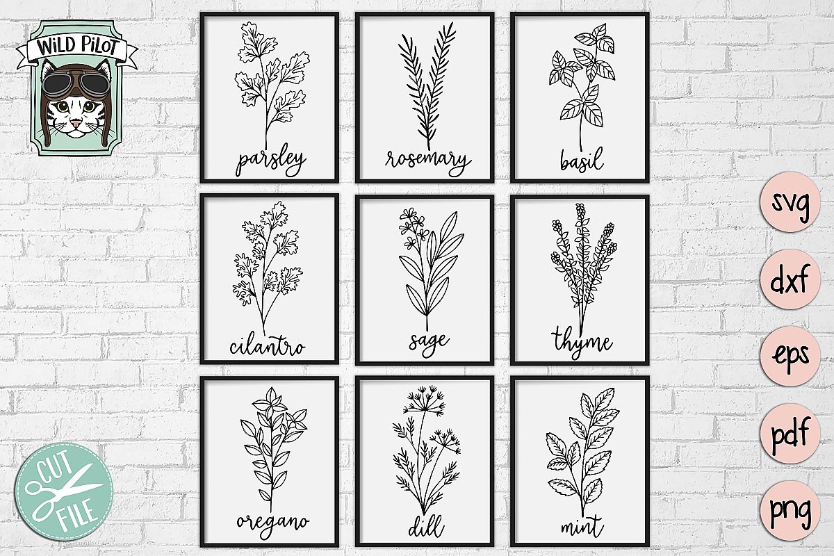 Herbs SVG files, Herb Set Cut file, Garden, Kitchen, Organic example image 1