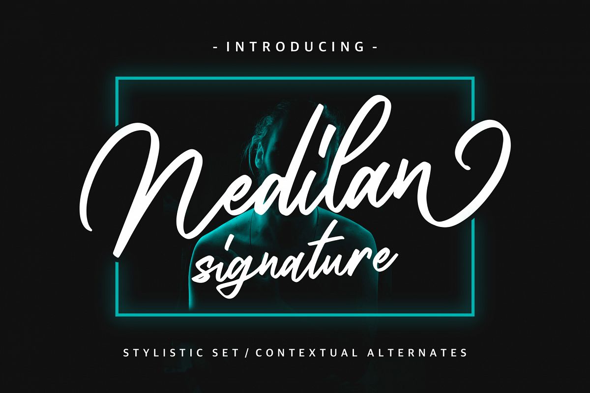 Nedilan - Signature Nedilan - Signature by BRTL in Fonts De example image 1