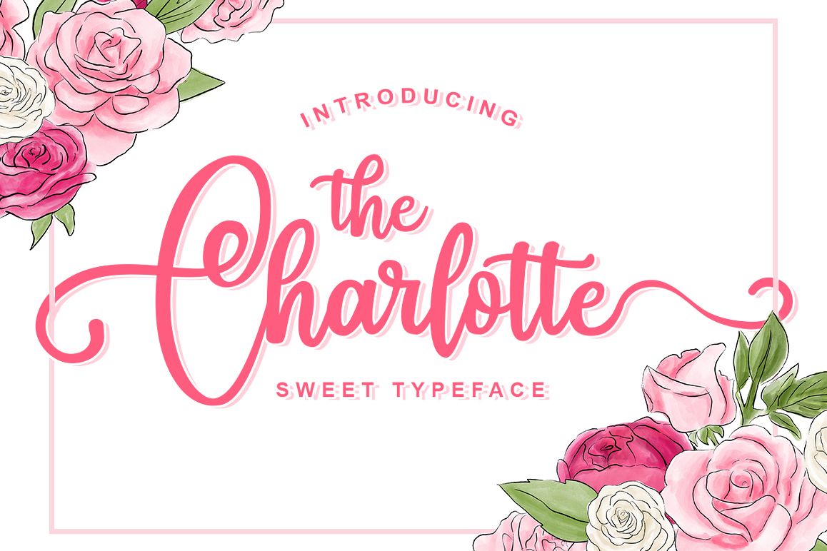 Charlotte example image 1