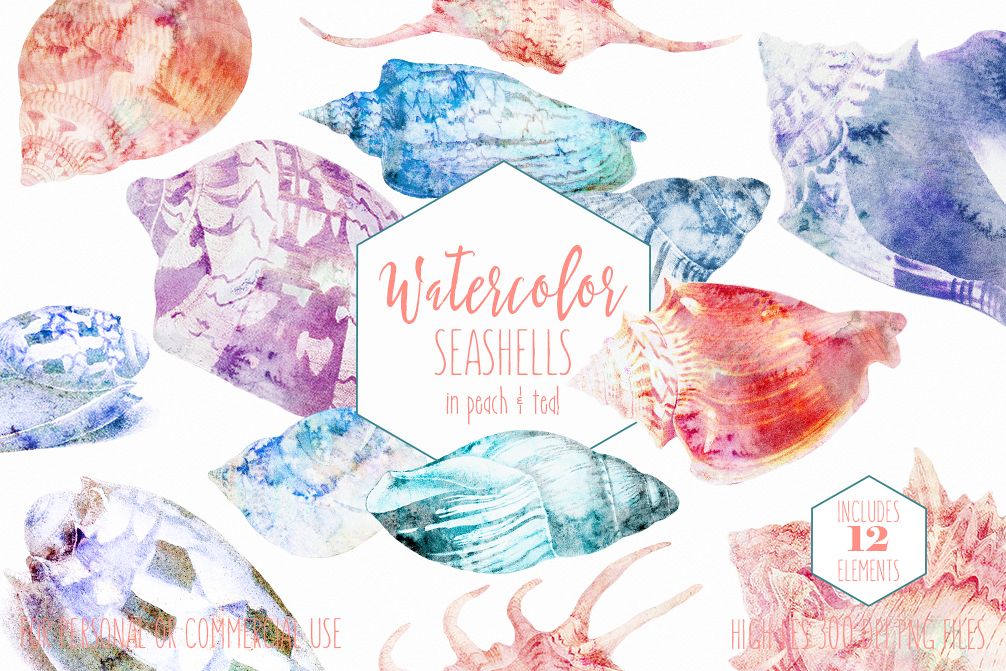 Beach Seashells Ocean Shells Clipart example image 1