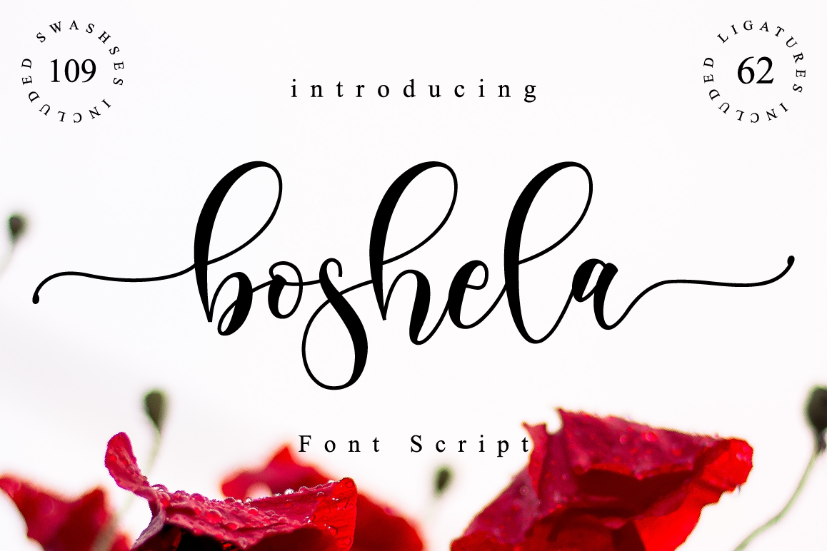 Boshela Script example image 1